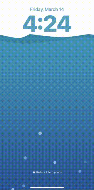 Wii Homebrew Channel